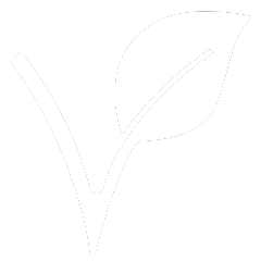 Kreatin Monohydrat ist vegan ohne Inhaltsstoffe tierischen Ursprungs. Kreatin ist für Menschen mit veganem Lebensstil und Ernährung geeignet.